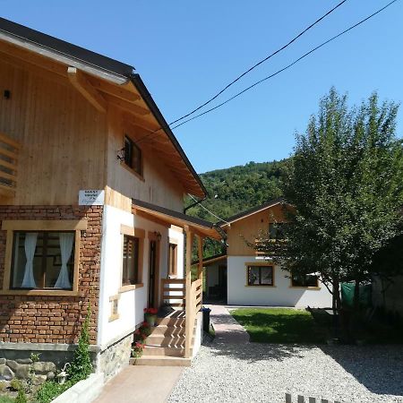 Guest House Carpathia Вишово-Вижнє Екстер'єр фото