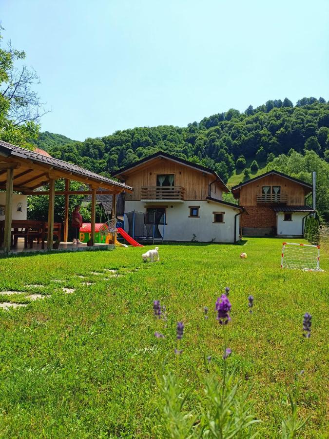 Guest House Carpathia Вишово-Вижнє Екстер'єр фото