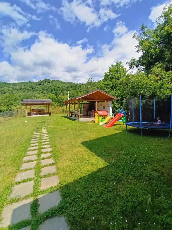Guest House Carpathia Вишово-Вижнє Екстер'єр фото