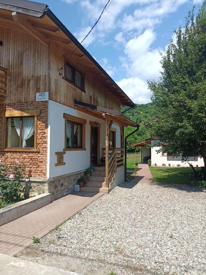 Guest House Carpathia Вишово-Вижнє Екстер'єр фото