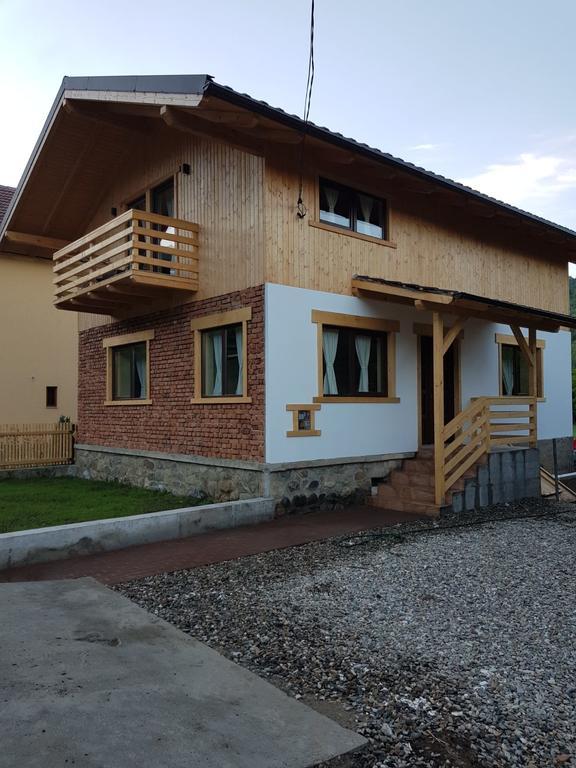 Guest House Carpathia Вишово-Вижнє Екстер'єр фото