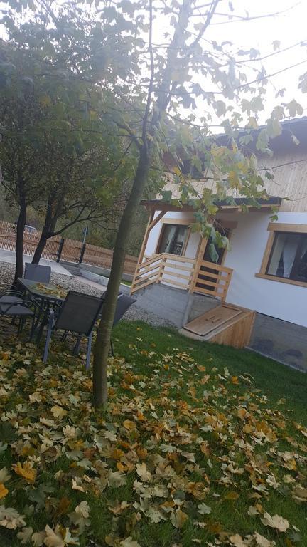 Guest House Carpathia Вишово-Вижнє Екстер'єр фото