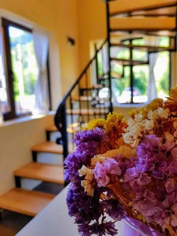 Guest House Carpathia Вишово-Вижнє Екстер'єр фото